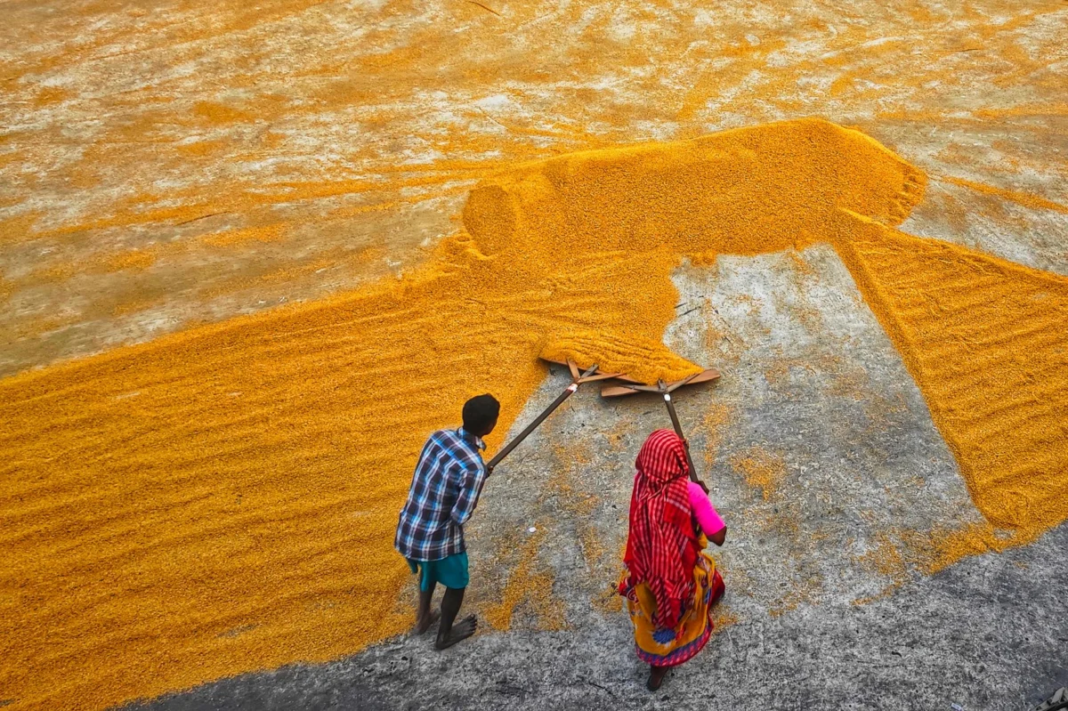 AP News showcases daily life around the world in photos