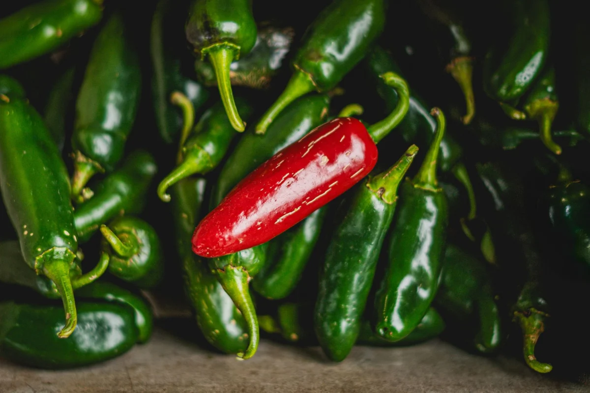 Taylor Farms Recalls Jalapeno Products Over Salmonella Concerns