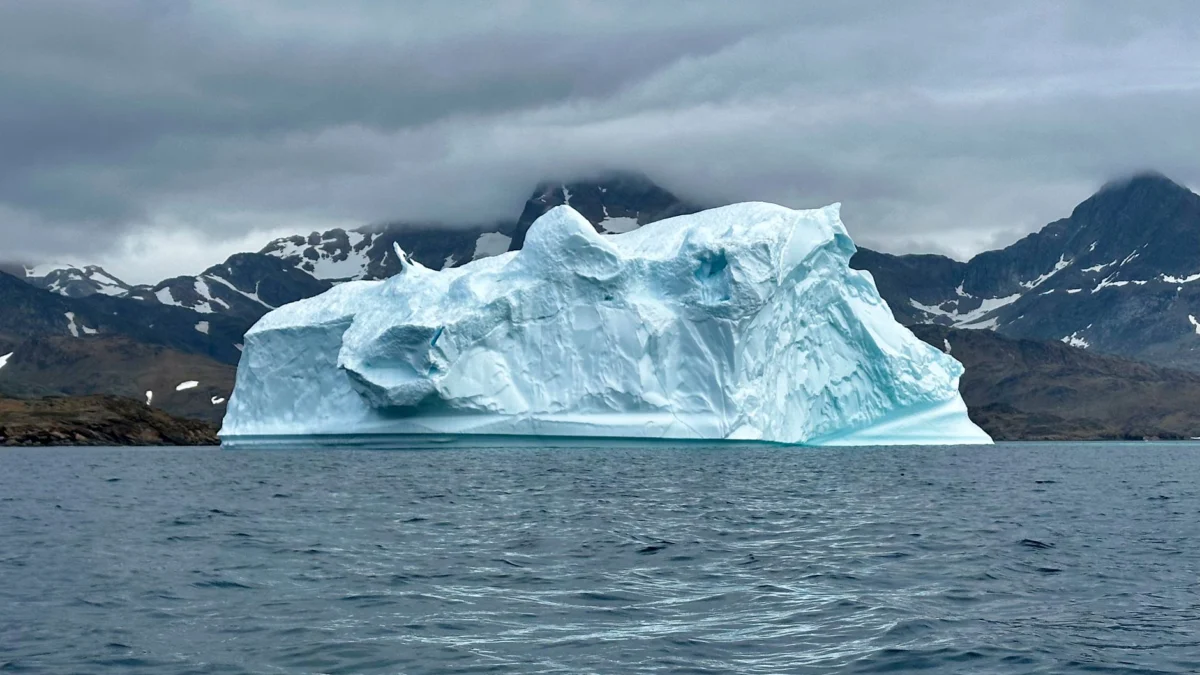 Trump’s Greenland Remarks Impact Iceland’s EU Vote