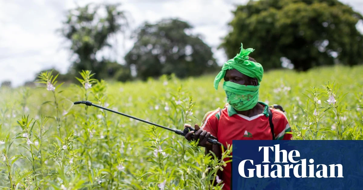 Pesticide poisoning affects half of world’s farmers annually