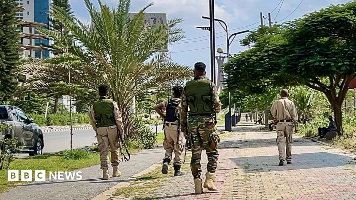Ethiopia and Tigray Trade Accusations of New Offensive Amid Airport Seizure Reports