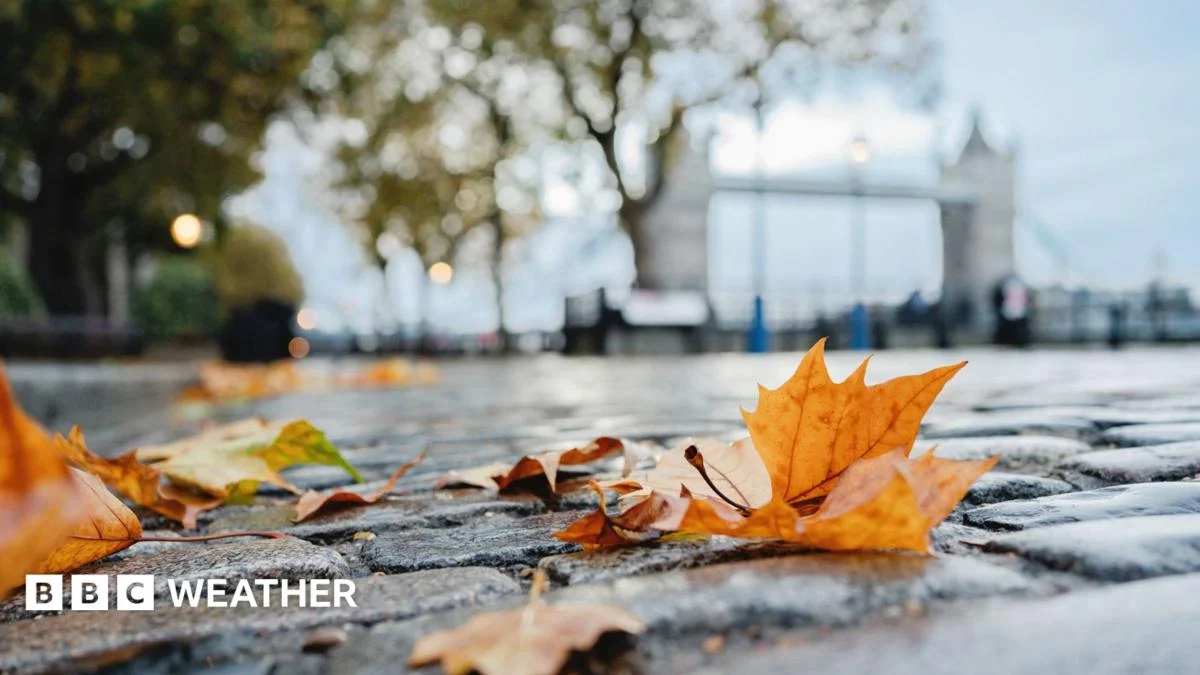 Autumn Cool Shift: Frost, Wind and Rain Replace Late Summer Warmth