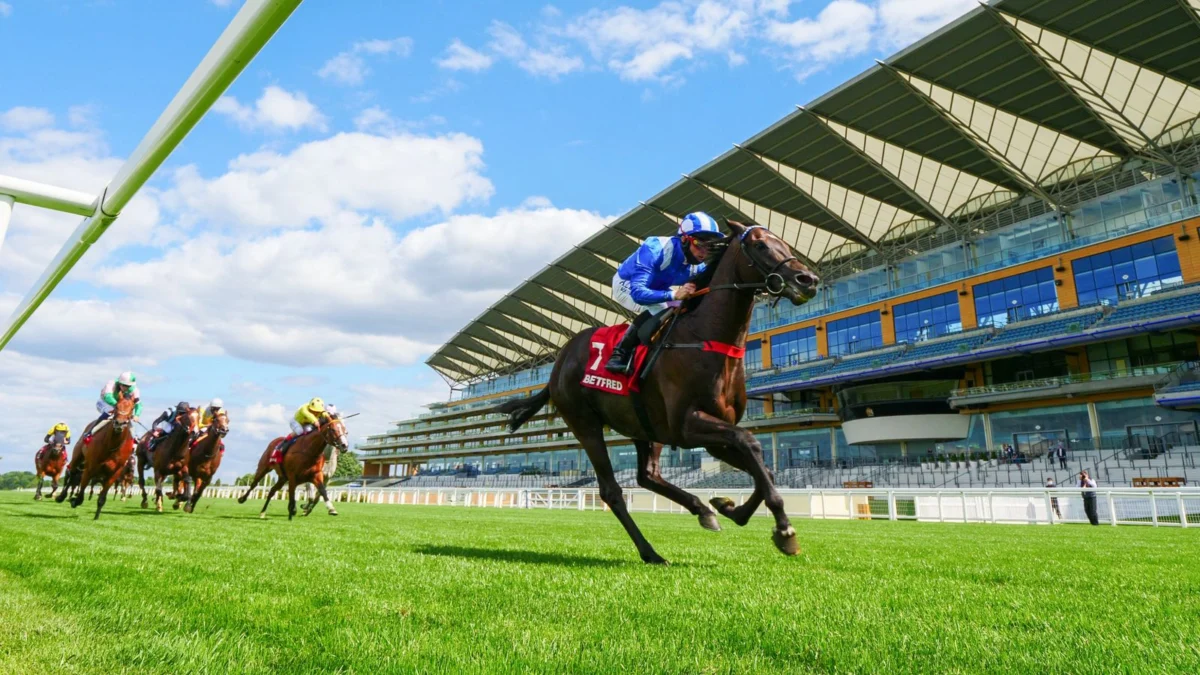 Heyzoom Eyes Victory at Ascot in Busy Race Day