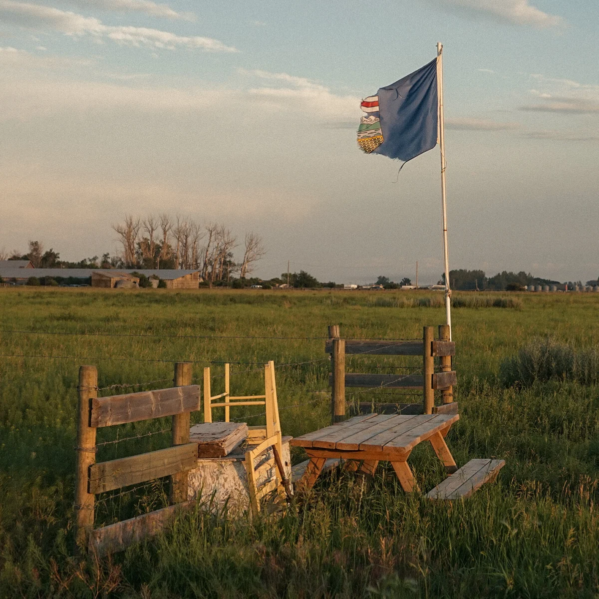 MAGA Influence Fuels Separatist Movement in Alberta