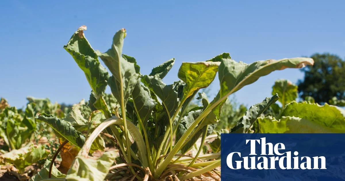 UK Food Supply Grown in Drought-Risk Areas, Report Warns