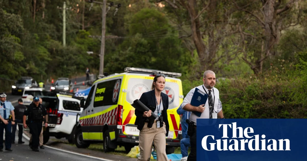 Police allege mother in Blue Mountains children stabbing