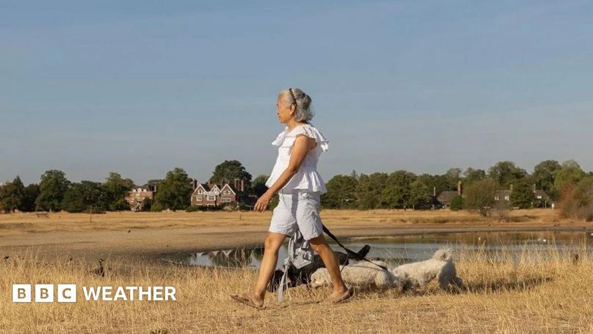 Sunshine Returns to Parts of UK as Warmer Weather Arrives