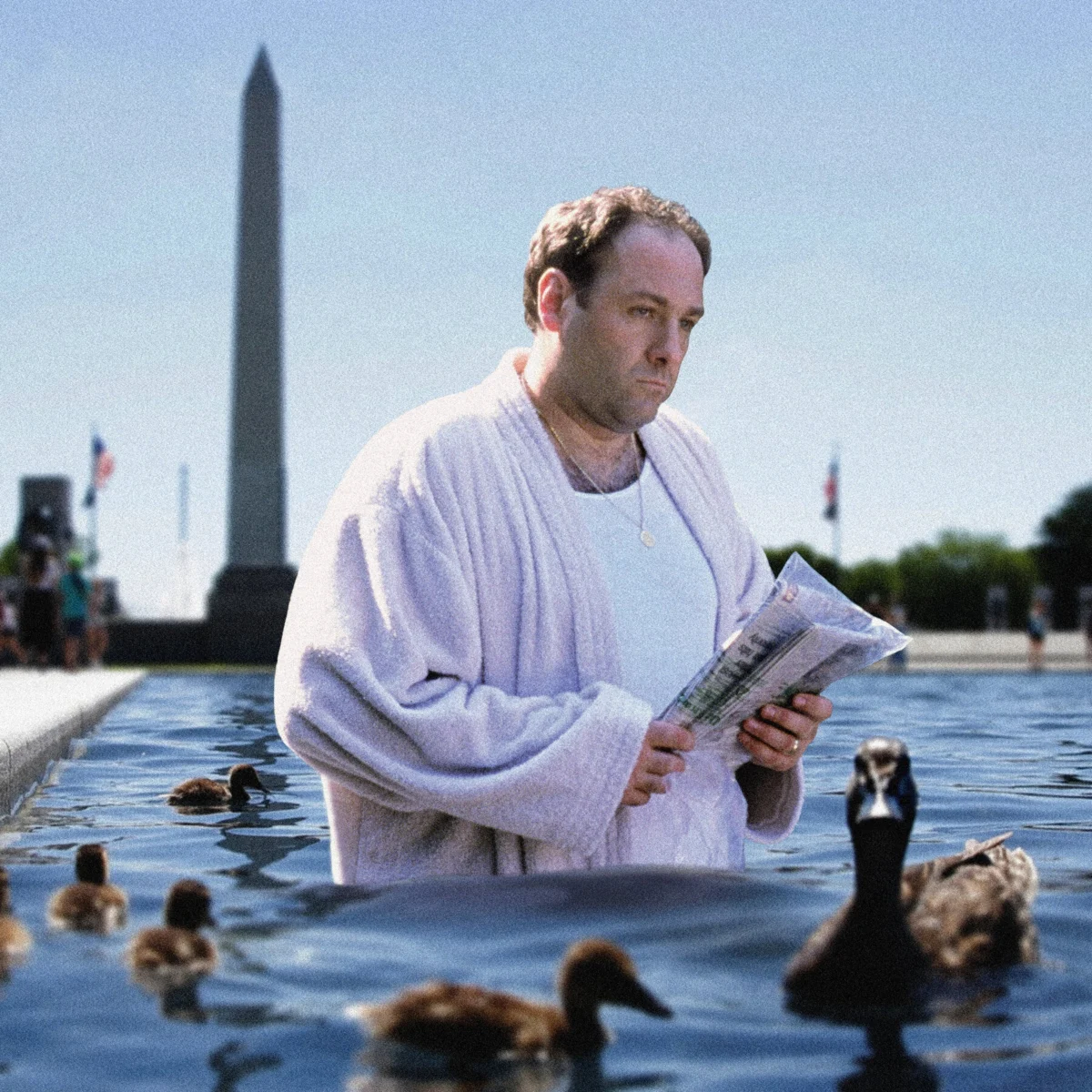 TV Shows Seen as Echoing America’s Social Fragmentation