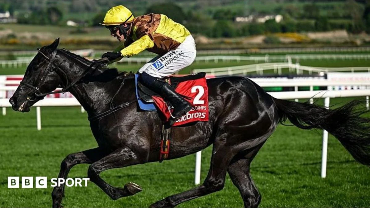 Galopin Des Champs, Two-Time Gold Cup Winner, Dies Post-Retirement