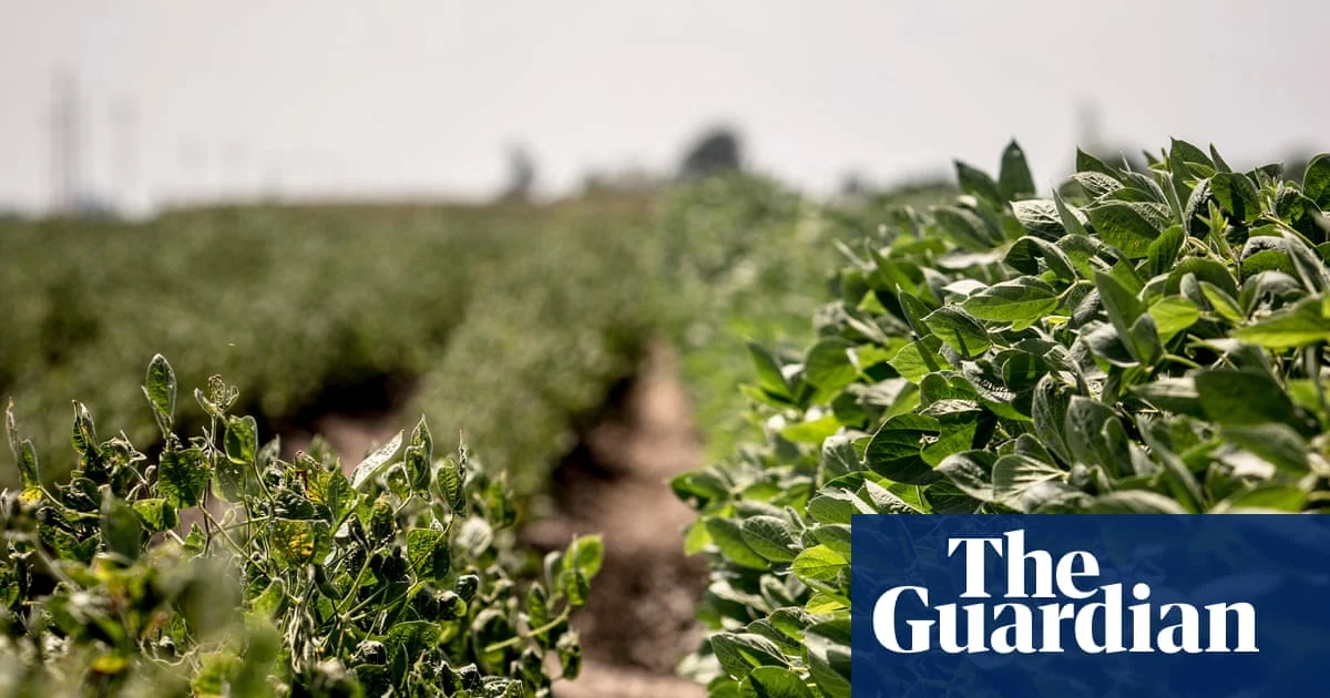 EPA Let Bayer Choose Dicamba Weedkiller Regulations, Documents Show
