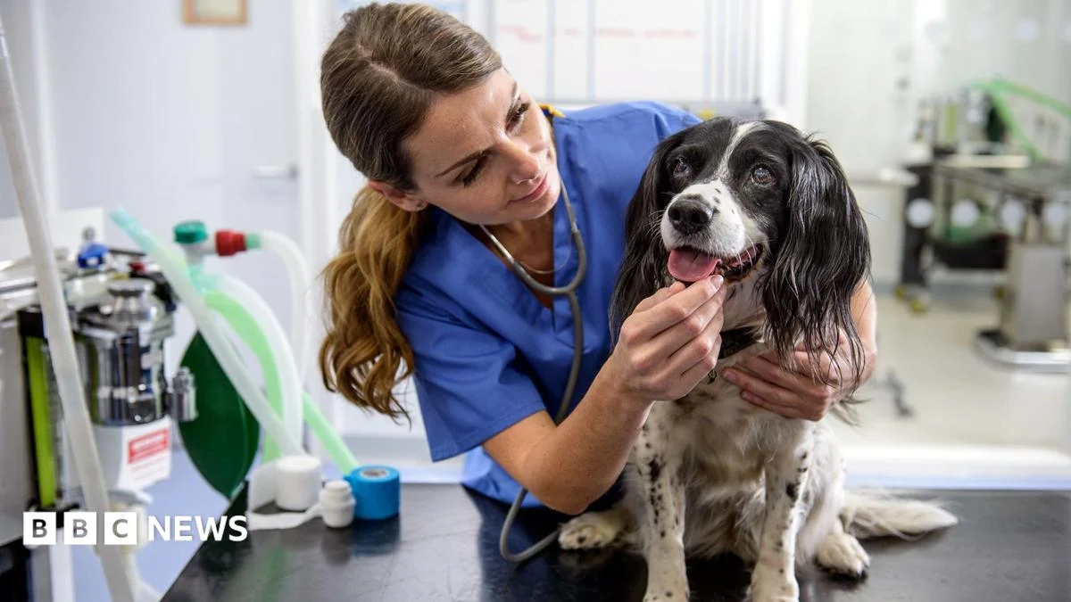 Vet prescription fees capped under new rule changes