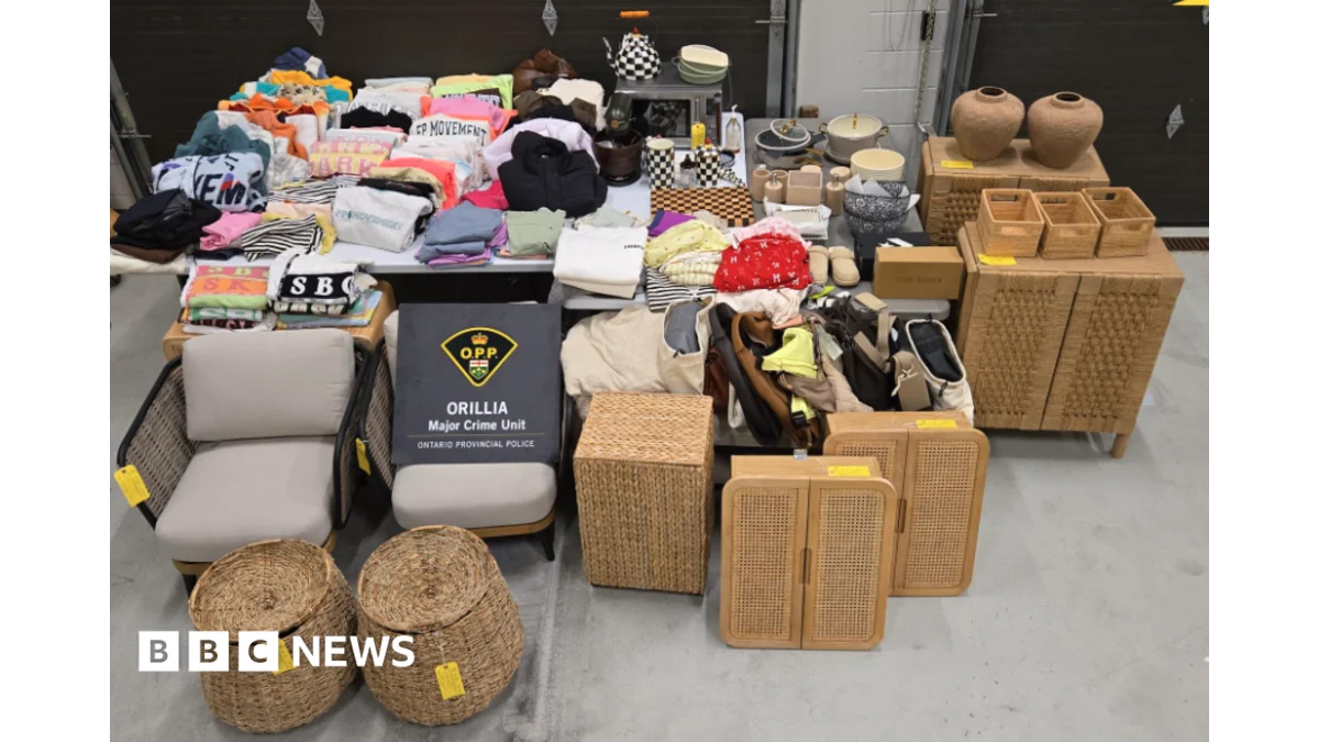 Woman charged in Ontario hospital theft investigation