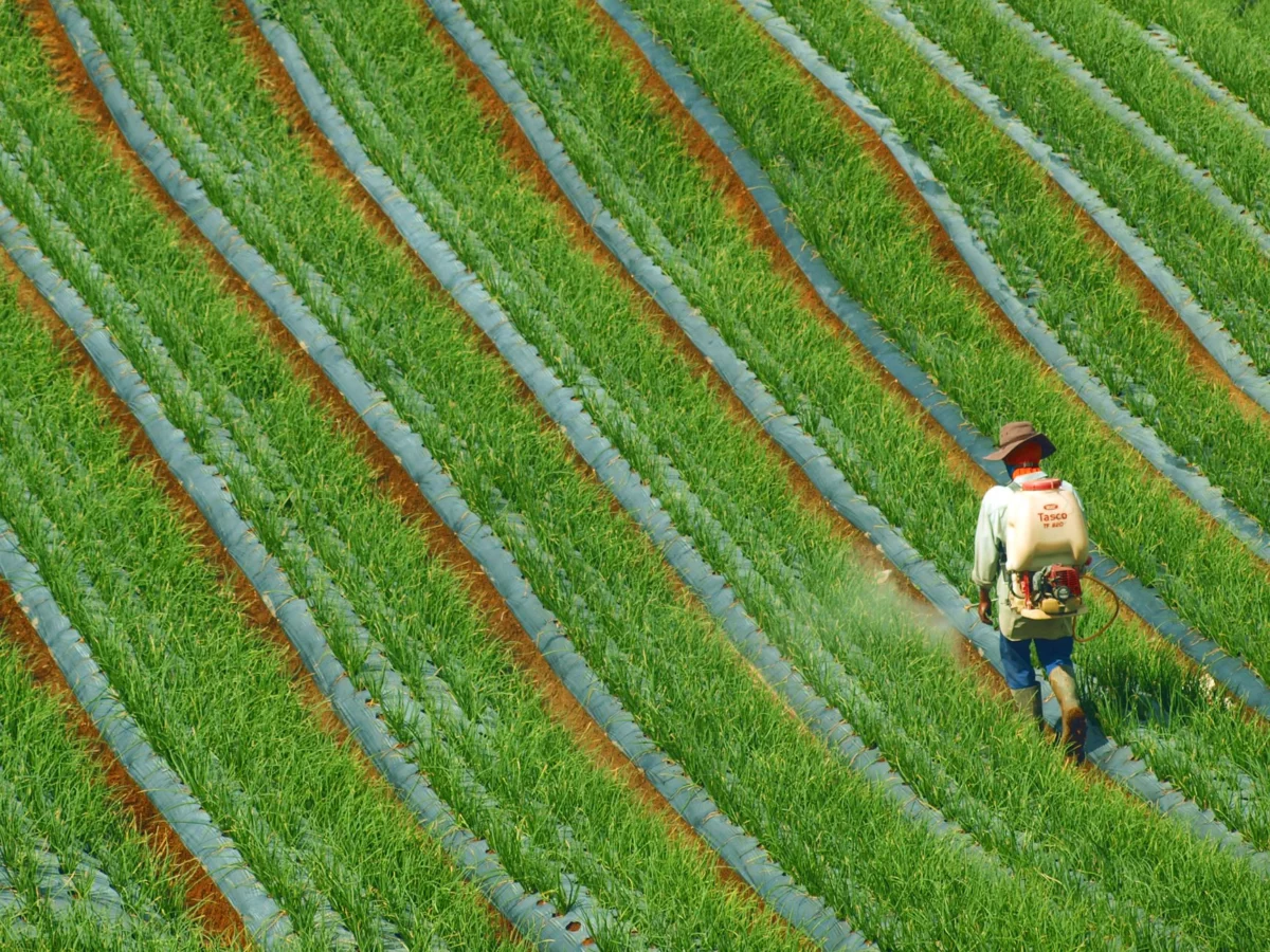 Bayer Monsanto Urges Court Approval of $7.25 Billion Roundup Settlement