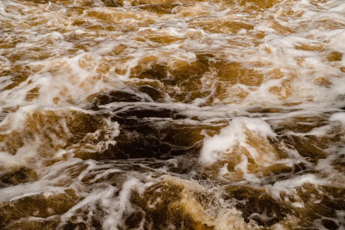 ICE Surge Caught on Camera Across Summer Operations