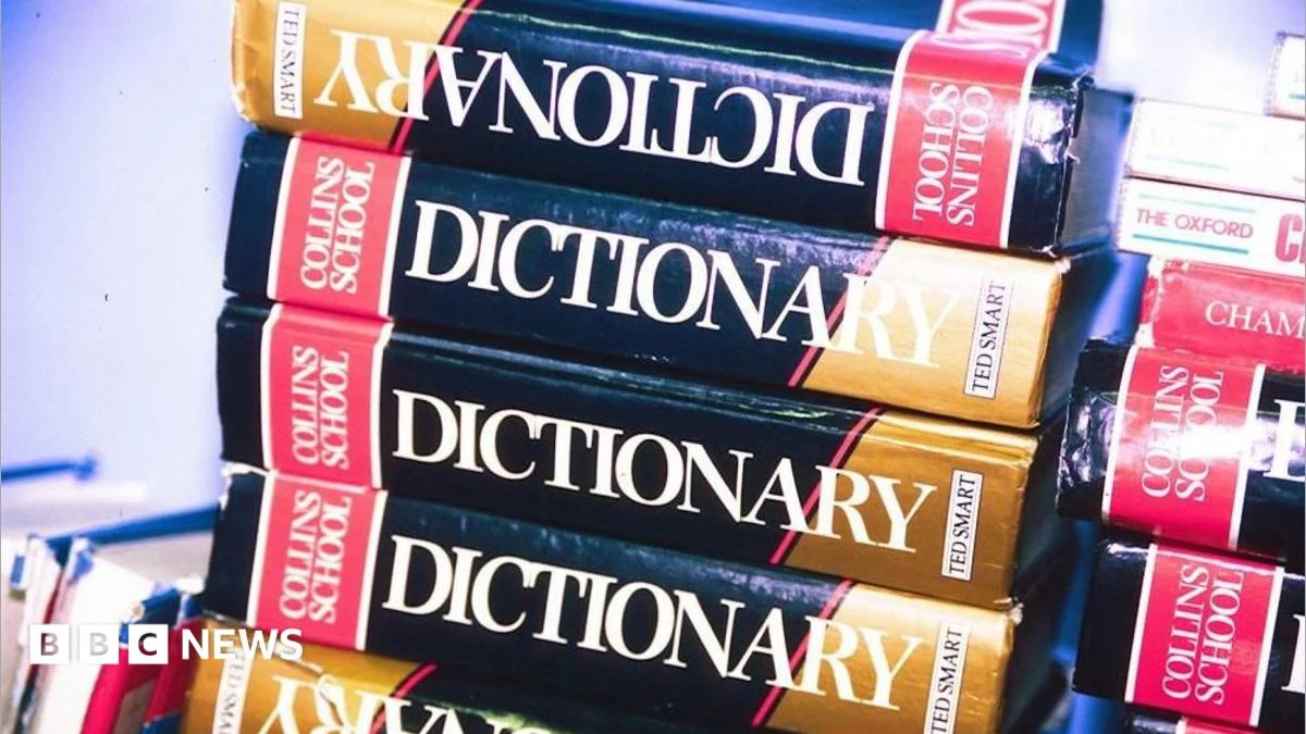Dictionary.com Selects ‘Maxxing’ as Word of the Year