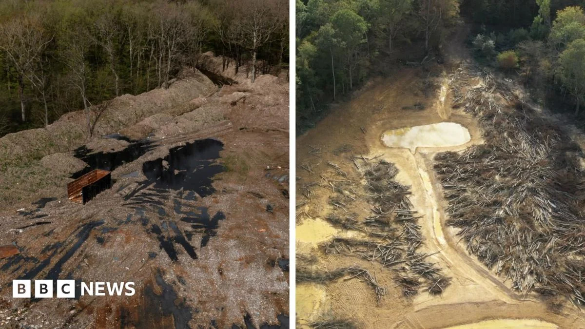 Illegal waste cleanup costs £15m at Kent woodland supersite
