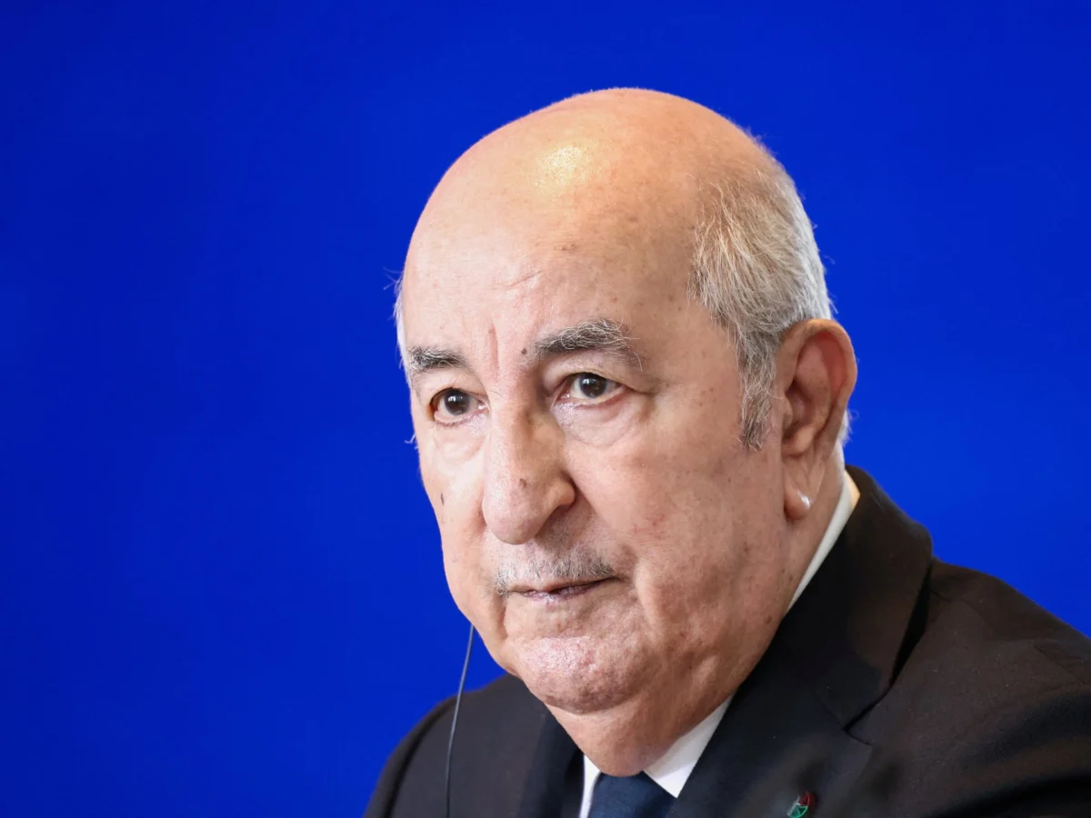 Algeria Deploys Troops to Niger Over Shared Energy Interests