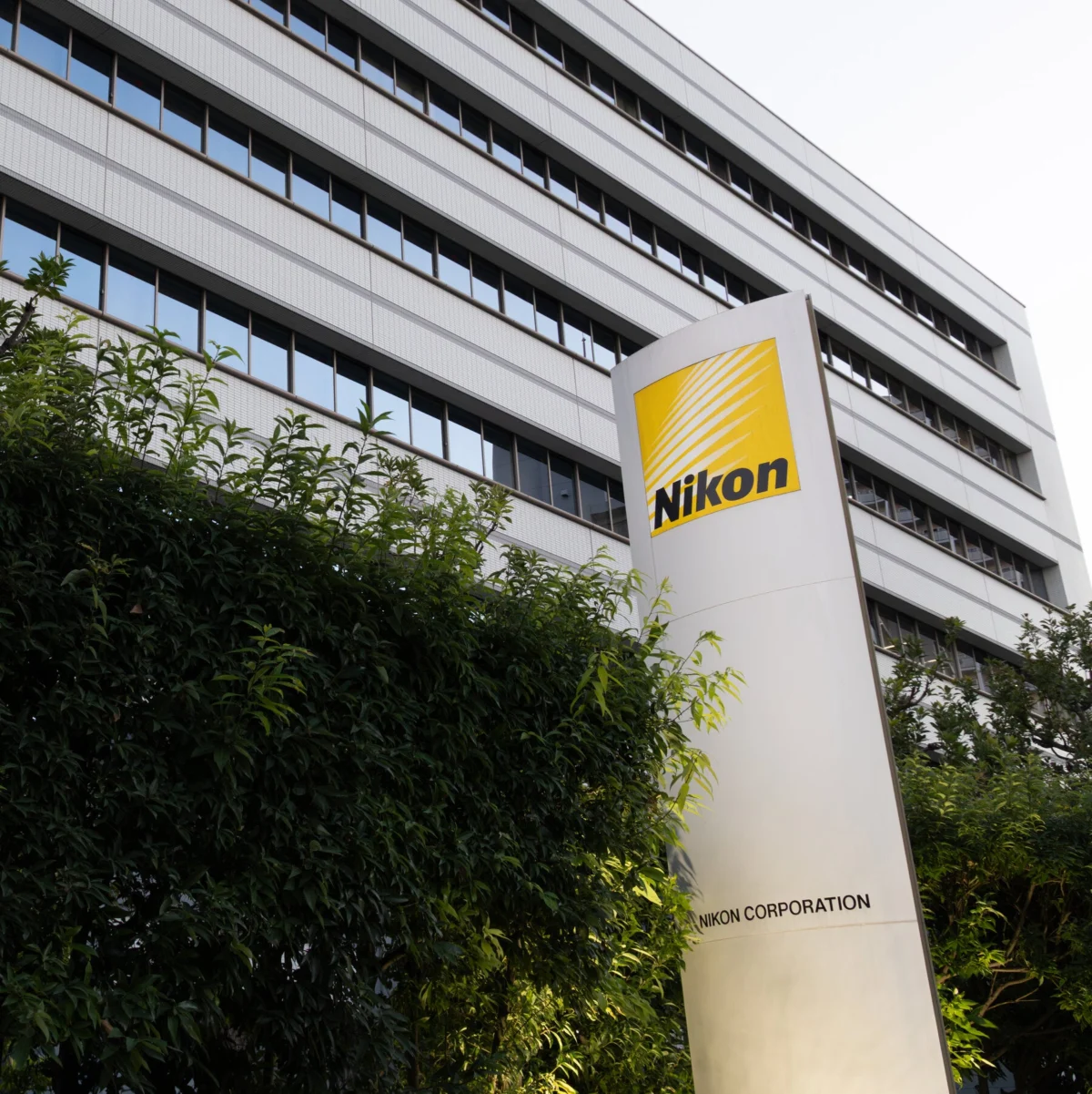 Nikon Disqualifies Microscopic Video Winner Over A.I. Use