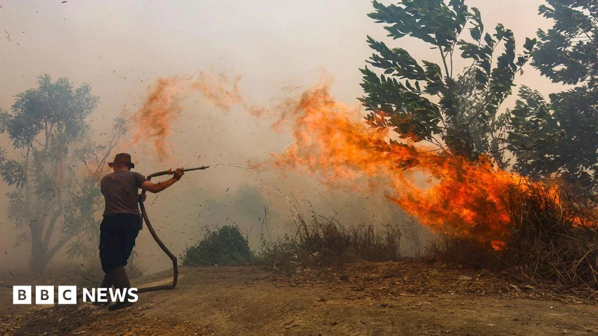 Borneo Fires Deepen Amid Super El Nino Haze