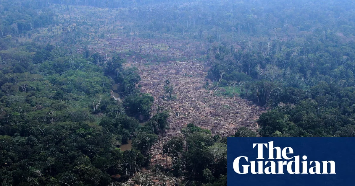 Amazon Deforestation Drops to Record Low Before Brazil Election