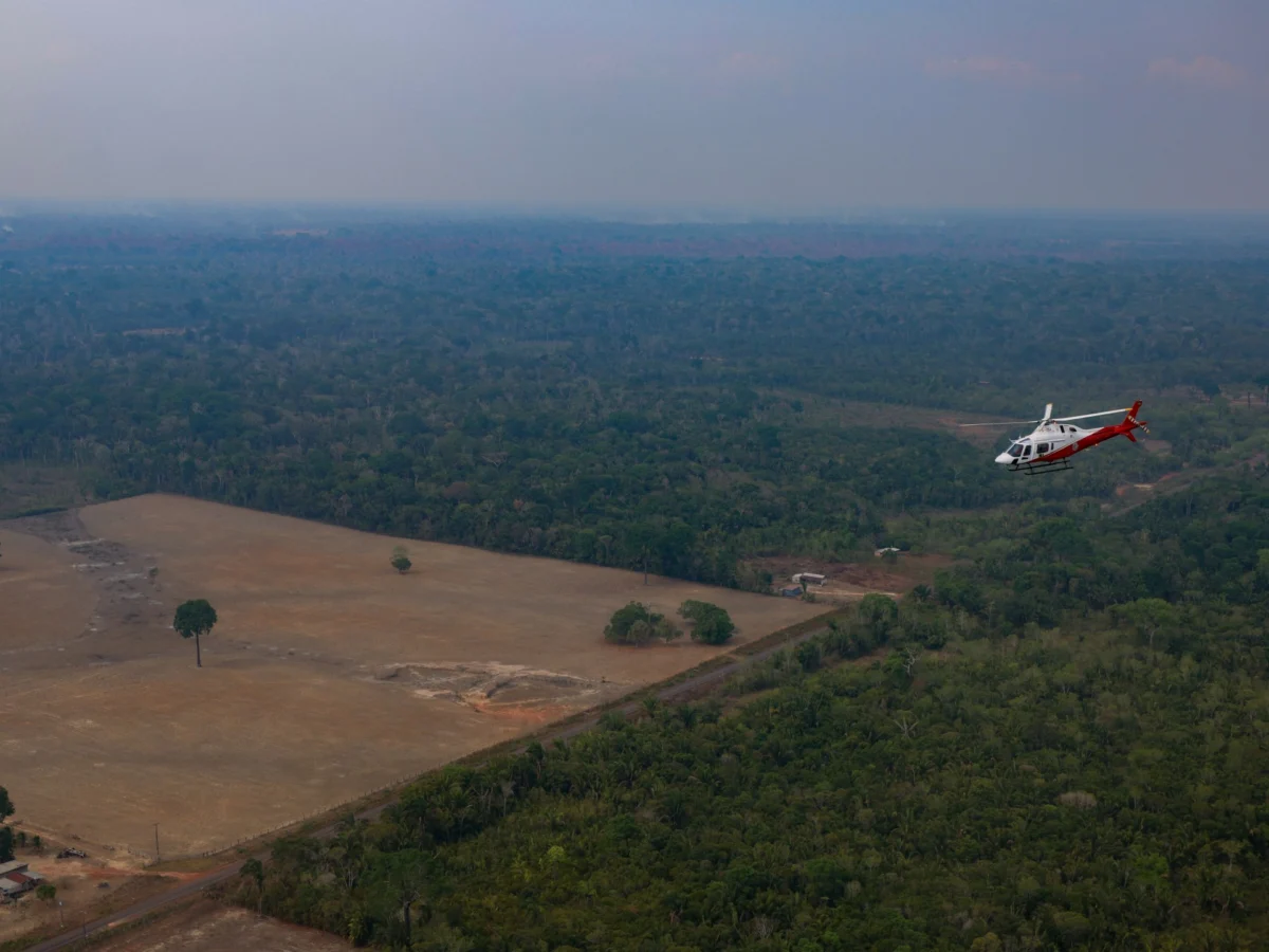 Amazon Deforestation Falls 42% in Brazil, Reaching Record Low