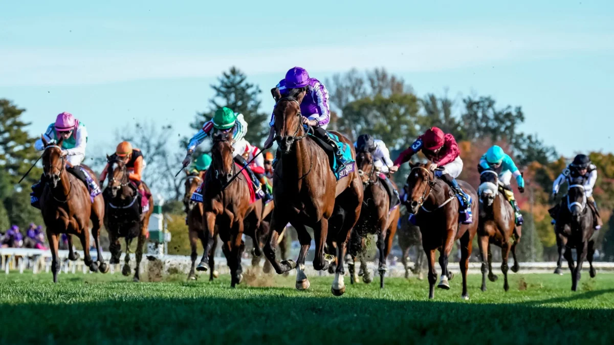 Sun Goddess Wins Breeders’ Cup Juvenile Fillies Turf