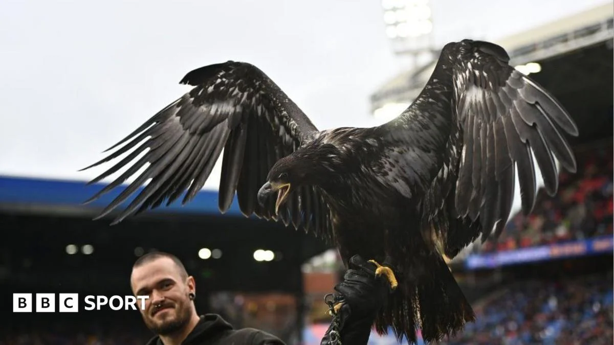 Peta Urges Crystal Palace to Retire Bald Eagle Mascot