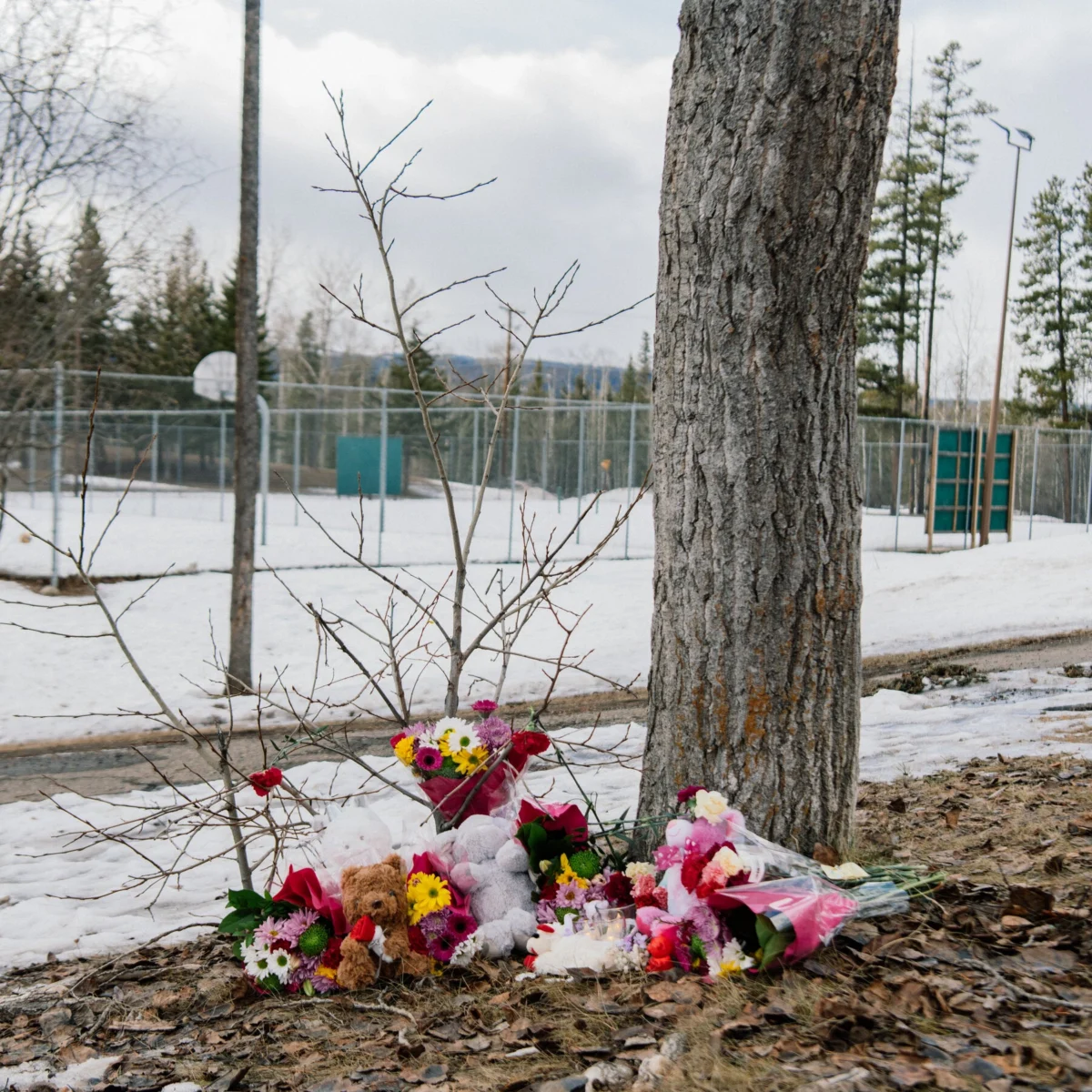 FBI Charges American in Canada Tumbler Ridge School Shooting Plot