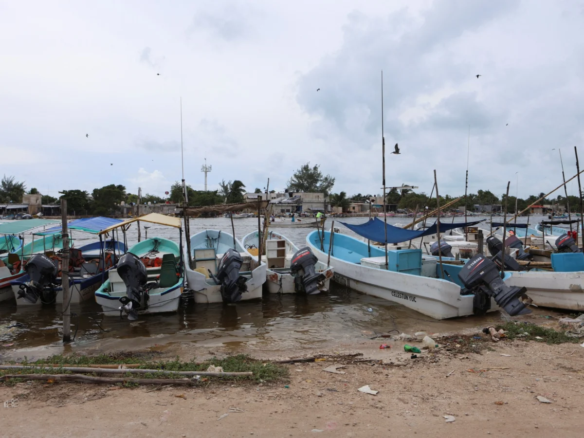 Fecal Waste Contaminates Yucatan Drinking Water, Greenpeace Reports