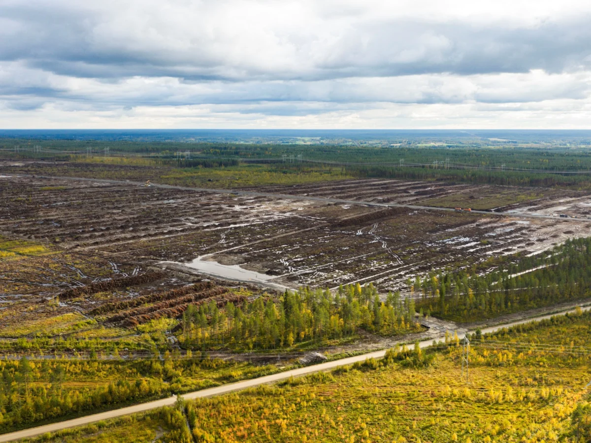 Finland Launches Criminal Probe Into Suspected Environmental Damage by Google Data Center Project
