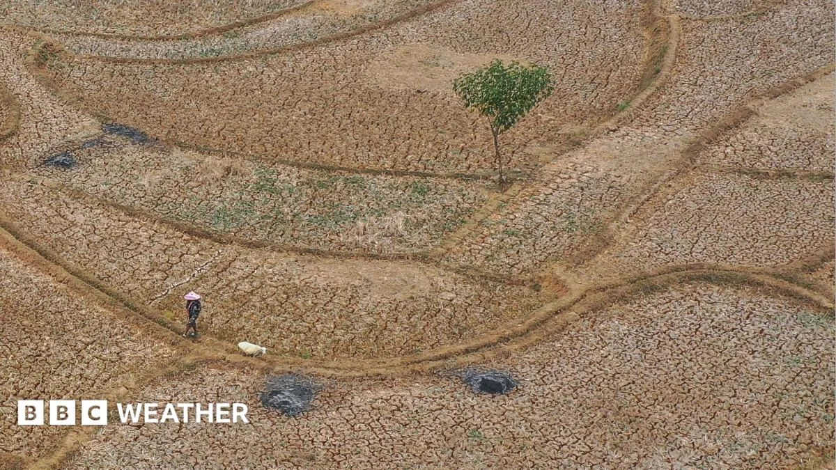 Strongest El Niño on Record Affects Global Weather Patterns