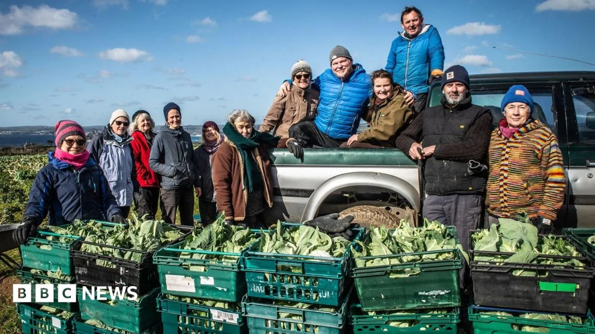 Gleaning Group Donates £1m of Produce to Food Banks