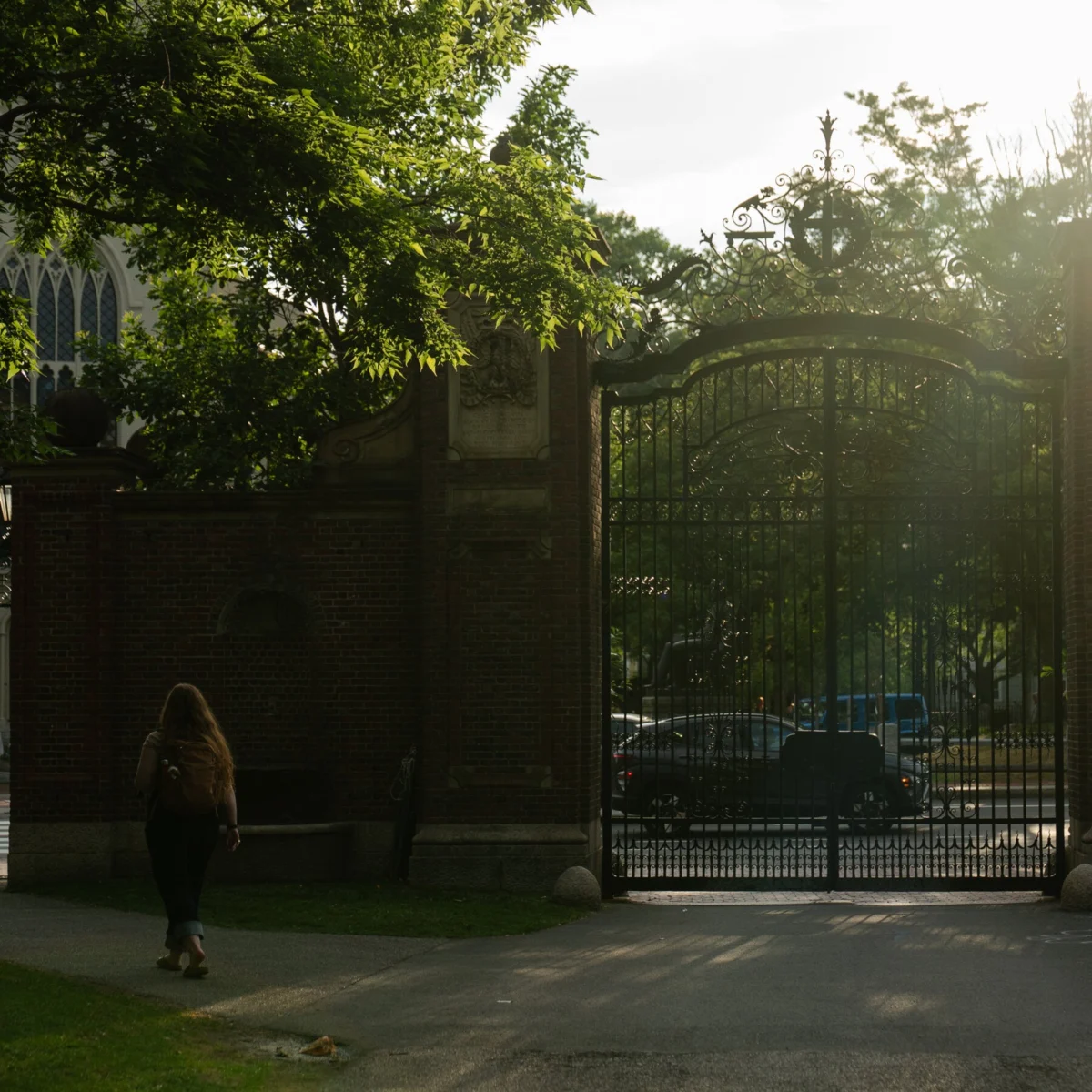 Harvard Endowment Reaches $68 Billion Amid Federal Funding Cuts