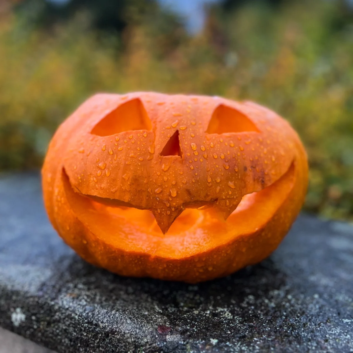 Halloween Rain Forecast May Disrupt Trick-or-Treat Plans