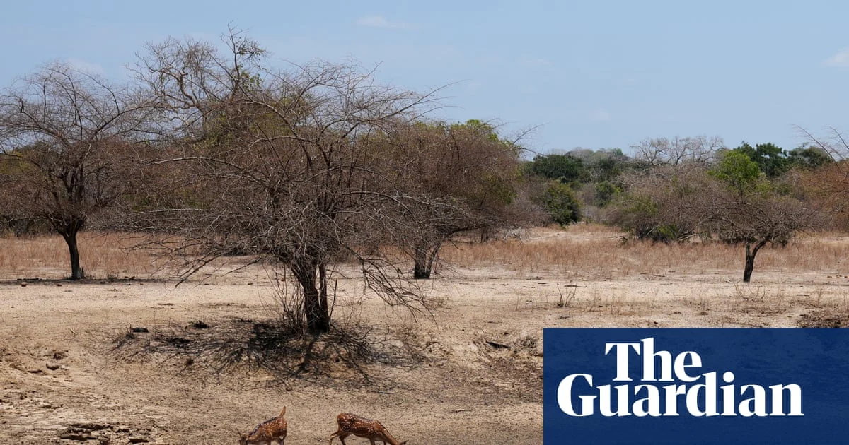Petro-States and Developing Nations Push to Delay Key Climate Report
