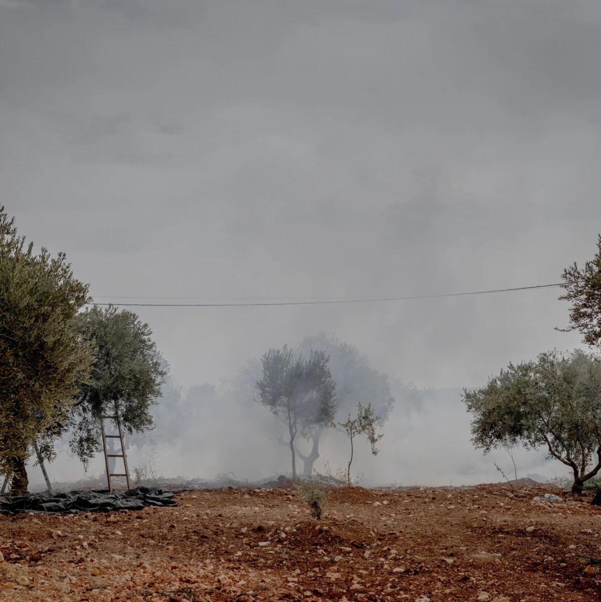 Israeli Settlers Attack Palestinians and European Officials in West Bank