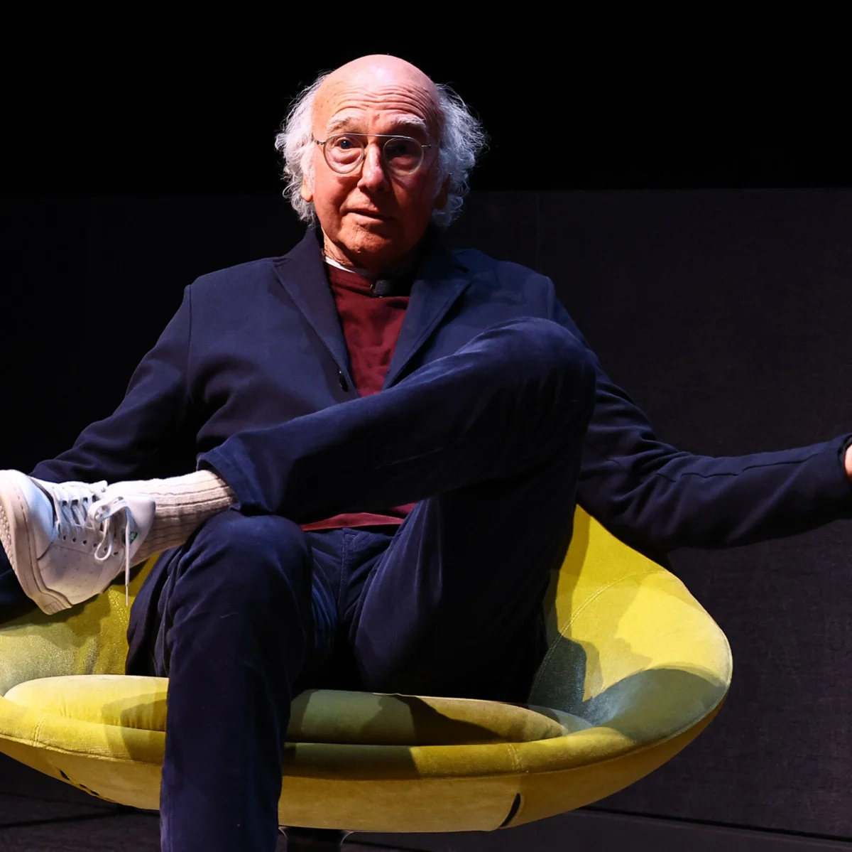 Larry David Satirizes D.S.A. in Essay Mocking Platform, Israel Stance
