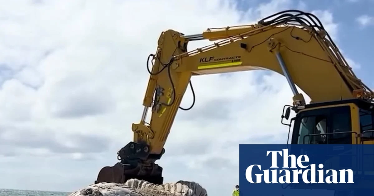 31-tonne whale carcass removal begins at Perth City Beach