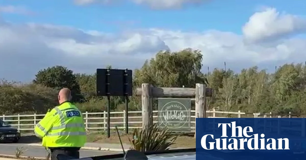 Man Dies After Tiger Attack at Yorkshire Zoo Enclosure