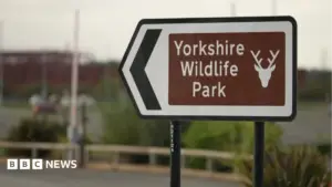 Man dies after tiger attack at wildlife park