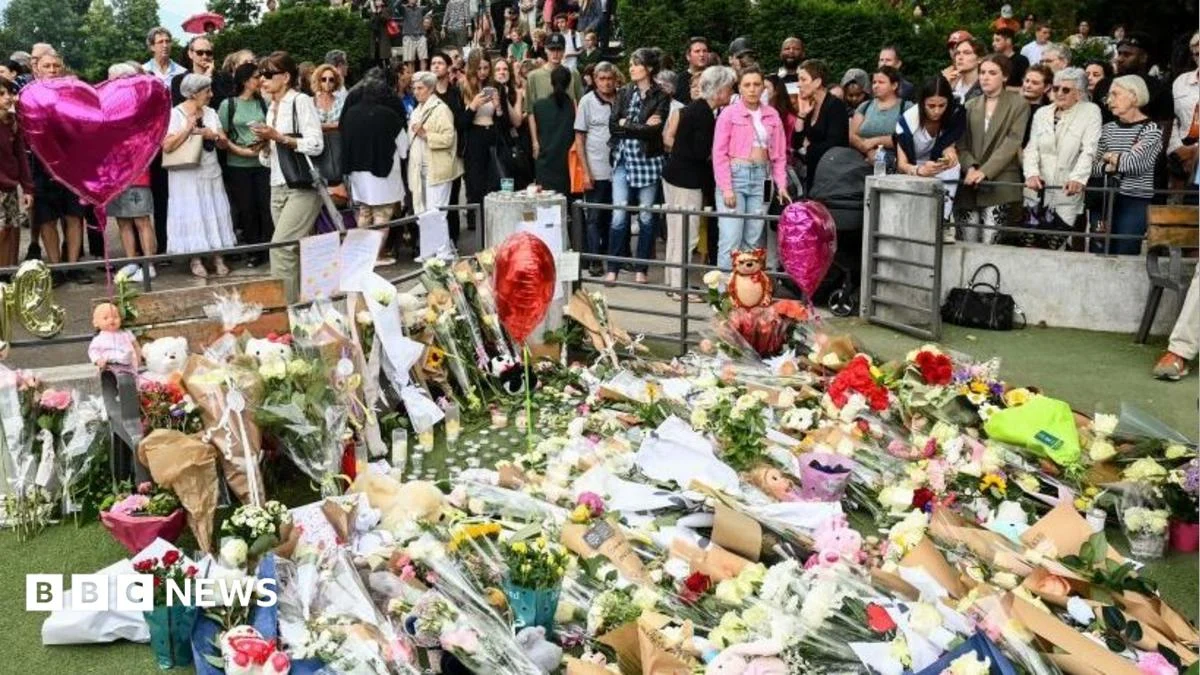 Man to face trial for attempted murder in Alps park attack