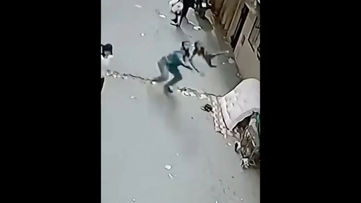 Man Catches Falling Child After Balcony Fall in Egypt