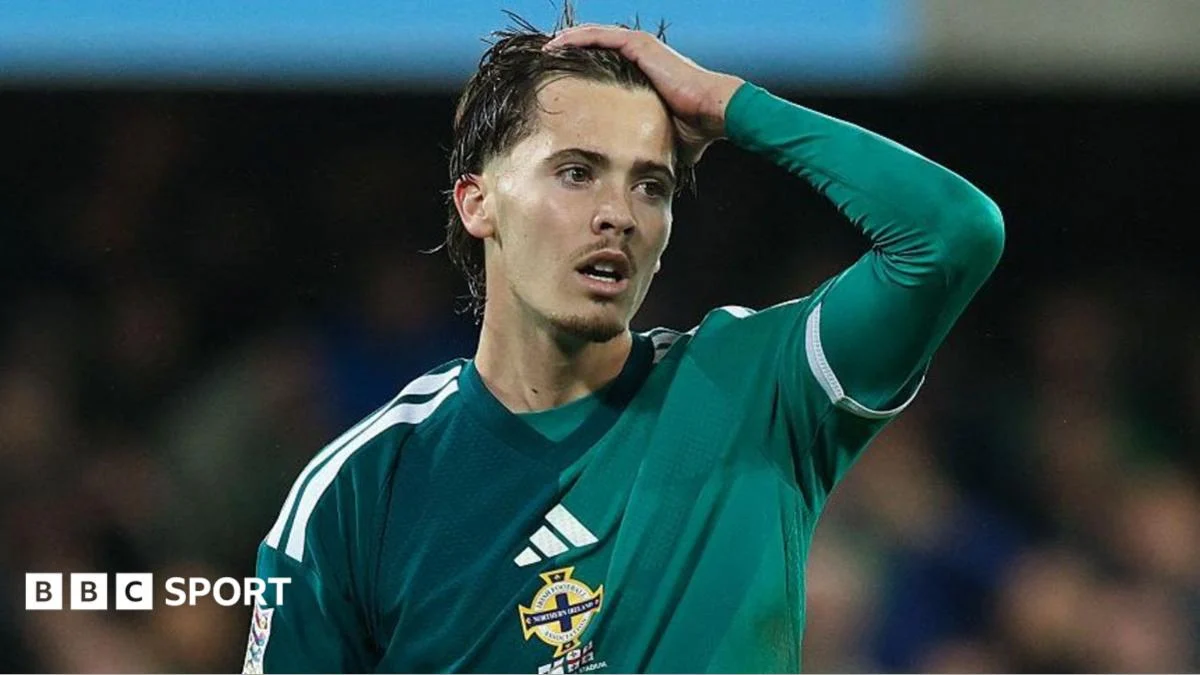 Northern Ireland Show Progress in Enjoyable Window Despite Georgia Frustration