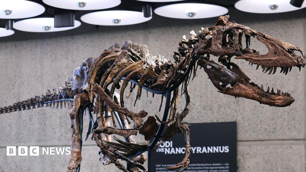 Nanotyrannus Skeleton Sells for $47.3M at New York Auction