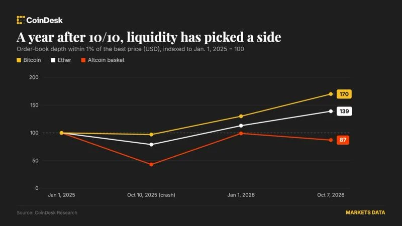 One Year After 10/10 Crash, Altcoin Liquidity Still at Risk