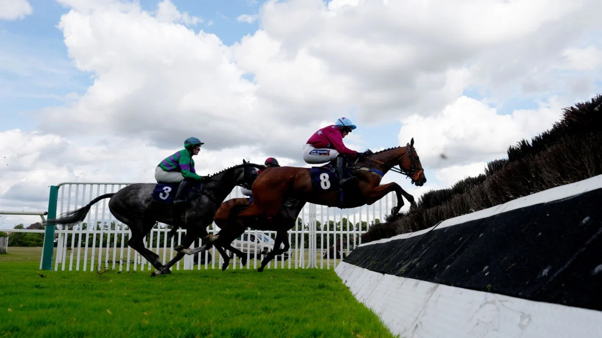 Potters Charm Makes Chasing Debut at Worcester
