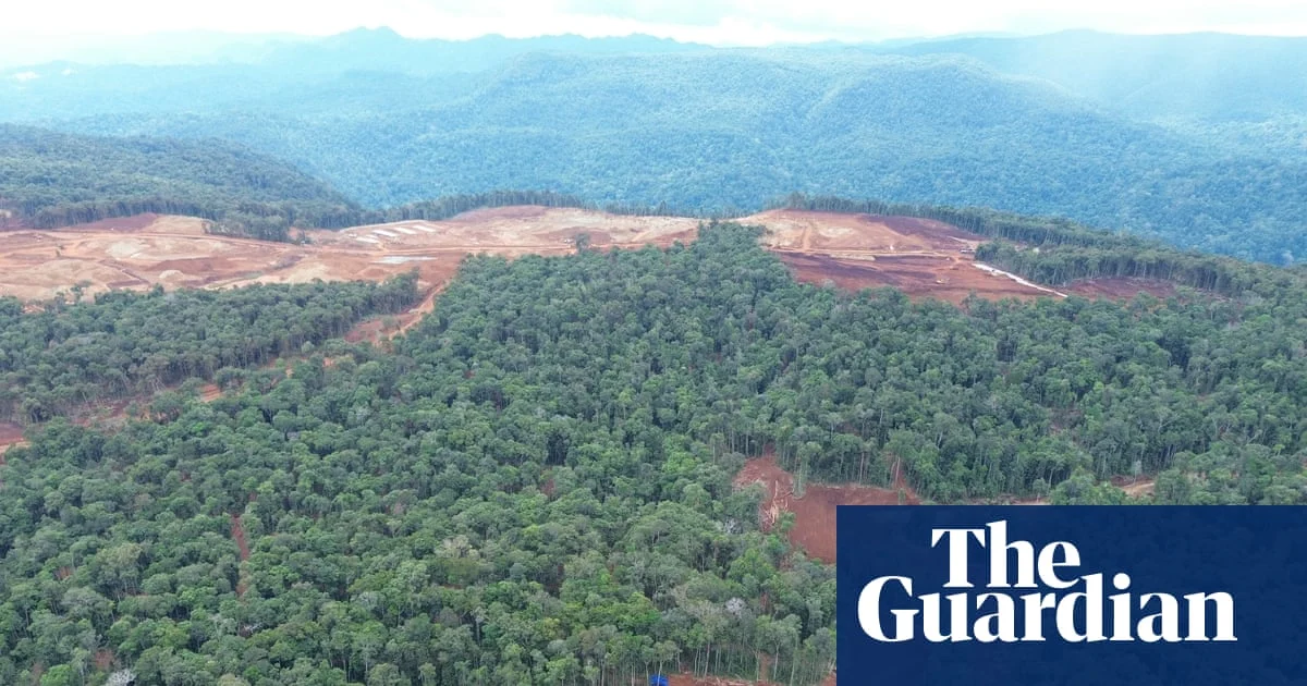 VW, Ford, Tesla Linked to Deforestation in Indonesia Nickel Supply Chains