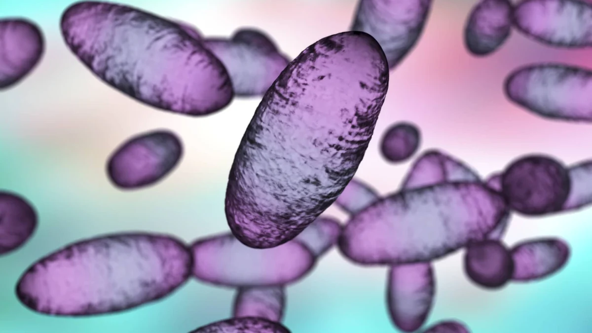 Russia Plague: Irkutsk Lab Worker Case Spurs Medical Observation