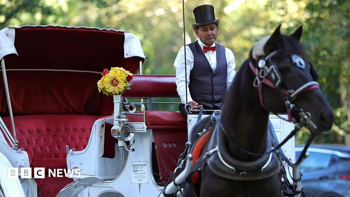 New Yorkers Divided Over Horse-Drawn Carriage Ban Debate