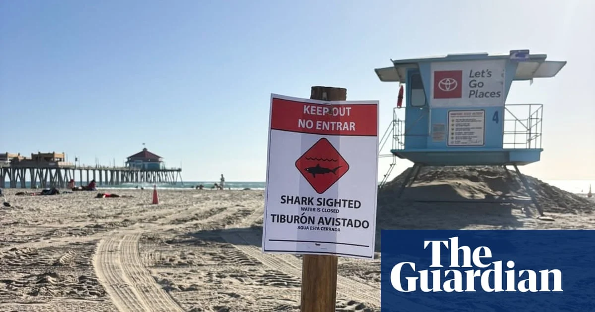 Huntington Beach Closes After Great White Shark Sighting